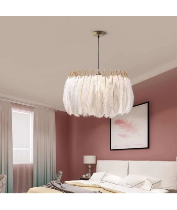 Suspension vintage plumes pendantes blanches de l' environnement