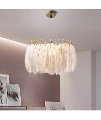 Suspension vintage plumes pendantes blanches de l' environnement