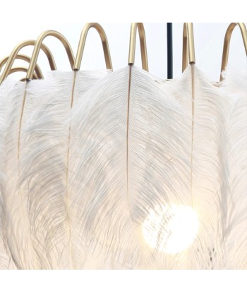 Suspension vintage plumes pendantes blanches de l' environnement