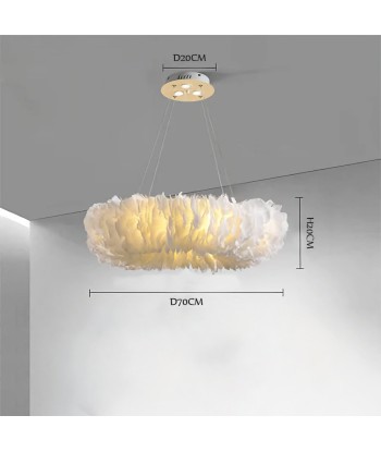 Suspension anneau en plumes colorées design art déco 50% de réduction en Octobre 2024