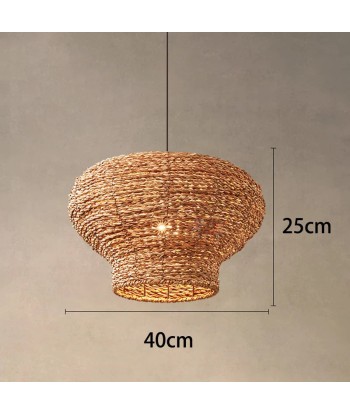 Suspension arrondie en osier raphia bohème de l' environnement