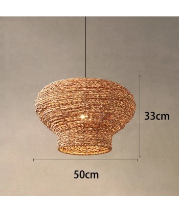 Suspension arrondie en osier raphia bohème de l' environnement